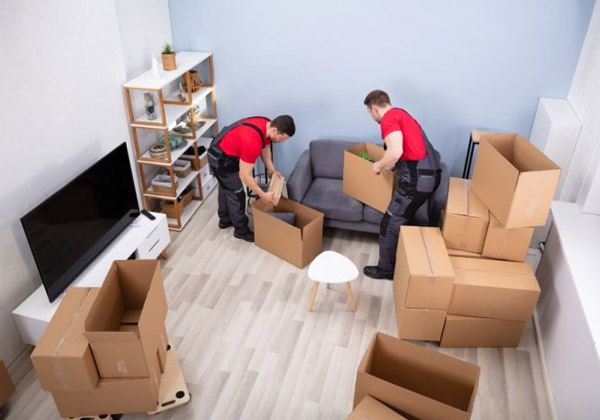 Domestic Shifting Service